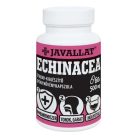 JAVALLAT Echinacea (Bíbor Kasvirág) kapszula 60 db