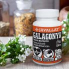 JAVALLAT Galagonya Virágos Hajtásvég kapszula 60 db 