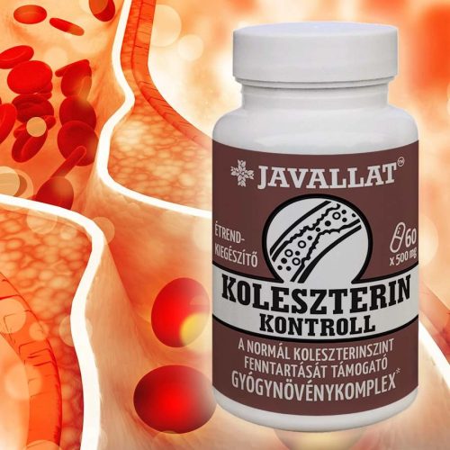 JAVALLAT Koleszterin Kontroll kapszula 60 db 